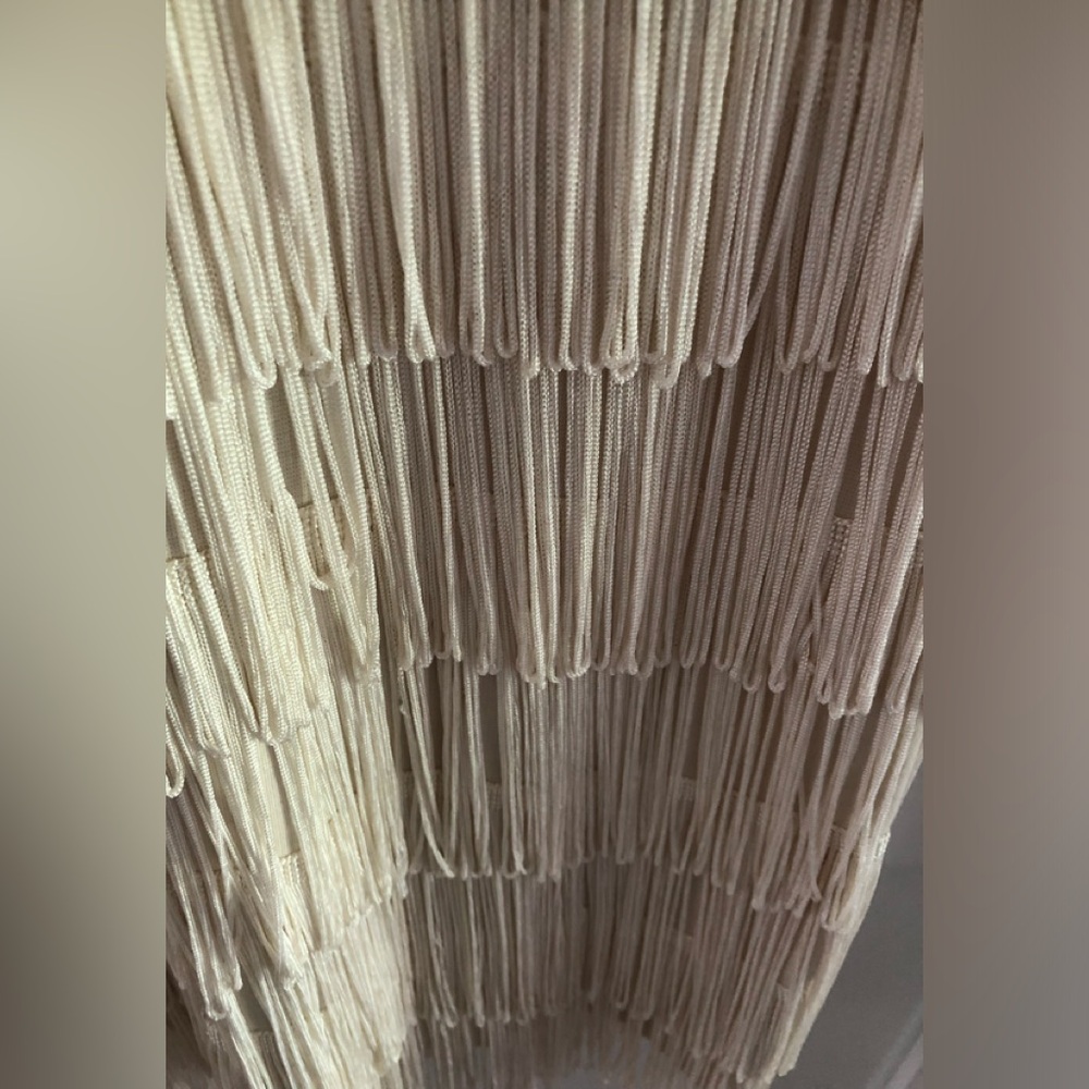AE FRINGE DRESS - Picture 3 of 3